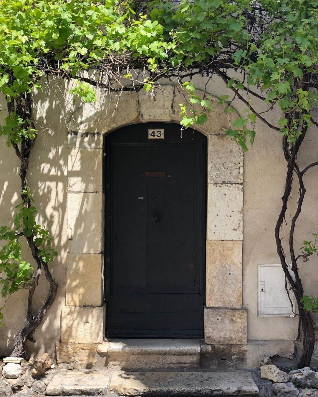 アイナ・ガーテンさんのインスタグラム写真 - (アイナ・ガーテンInstagram)「How romantic is this doorway in Provence?」5月11日 2時20分 - inagarten