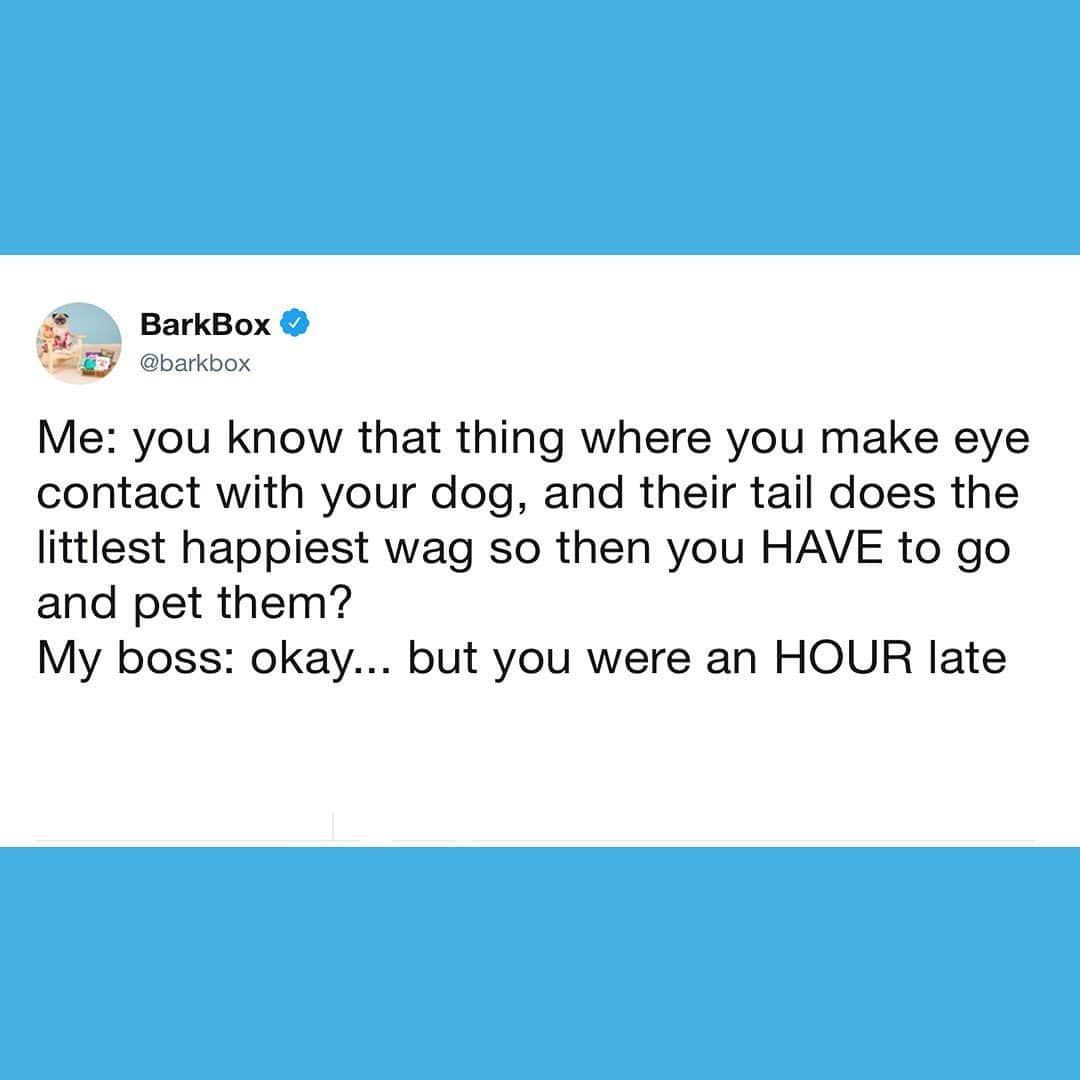 BarkBoxさんのインスタグラム写真 - (BarkBoxInstagram)「It’s Mother’s Day weekend... and here are some of our favorite tweets about motherhood 🐾」5月11日 2時46分 - barkbox
