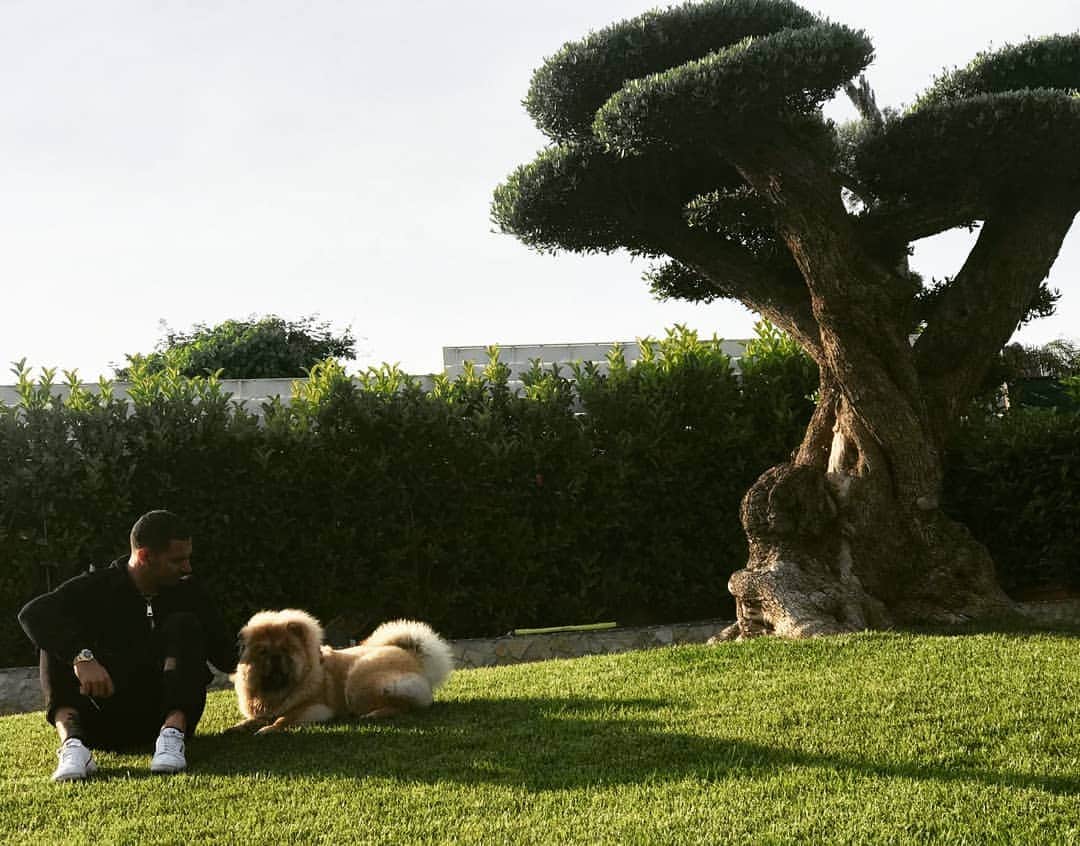 ルイージ・セーペのインスタグラム：「My friend LEO❤」