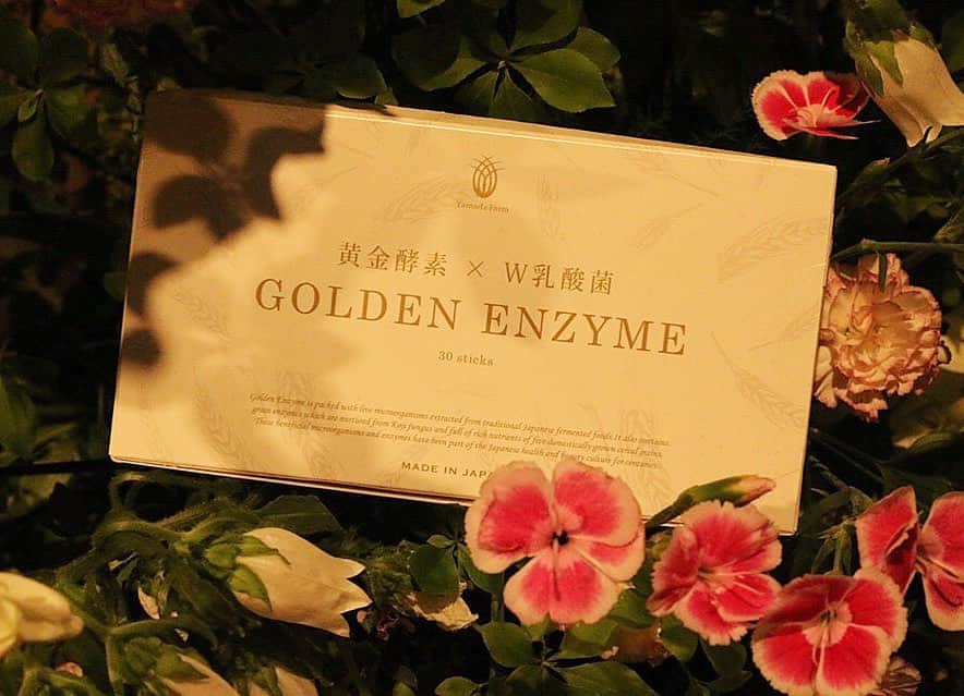 華山のインスタグラム：「黄金酵素デビュー🙋‍♂️ . 偏食で夜更かしで体力無くて不眠症の僕には最高の品 . . 黄金酵素×w乳酸菌「Golden Enzyme」 @yamada_farm . . . . . . . 提供 YamadaFarm . . . . .」