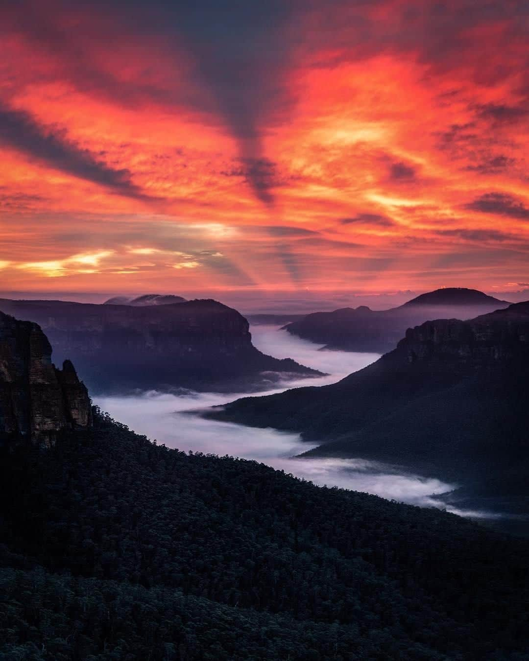 Australiaさんのインスタグラム写真 - (AustraliaInstagram)「The #BlueMountains certainly like to put on a show at #sunrise. 🌄 According to @ianhollisphotography: “This morning was something else! Arriving at #GovettsLeap 40 minutes before sunrise and the sky was already burning! I was jumping with excitement as I walked up to the fence.... and then my jaw dropped when I saw the fog in the valley!” While he believes that “no photos could do it justice” we’re sure glad that he captured this spectacular moment. Located two hours from @sydney, this scenic spot in @visitnsw is a must-see for nature lovers and sunrise chasers.  #seeaustralia #newsouthwales #travel #themountainsarecalling #sunriselovers」5月11日 4時00分 - australia