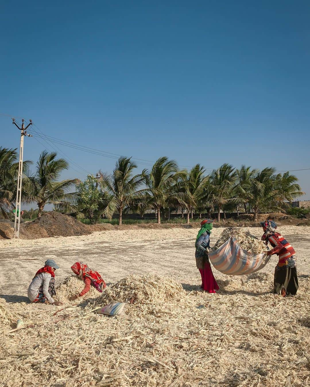 appleさんのインスタグラム写真 - (appleInstagram)「“These women put their heart, soul and sweat into this work every day. To me, they’re like warriors.” #gujarat #ShotoniPhone by Roshani S. @roshagulla」5月11日 4時06分 - apple