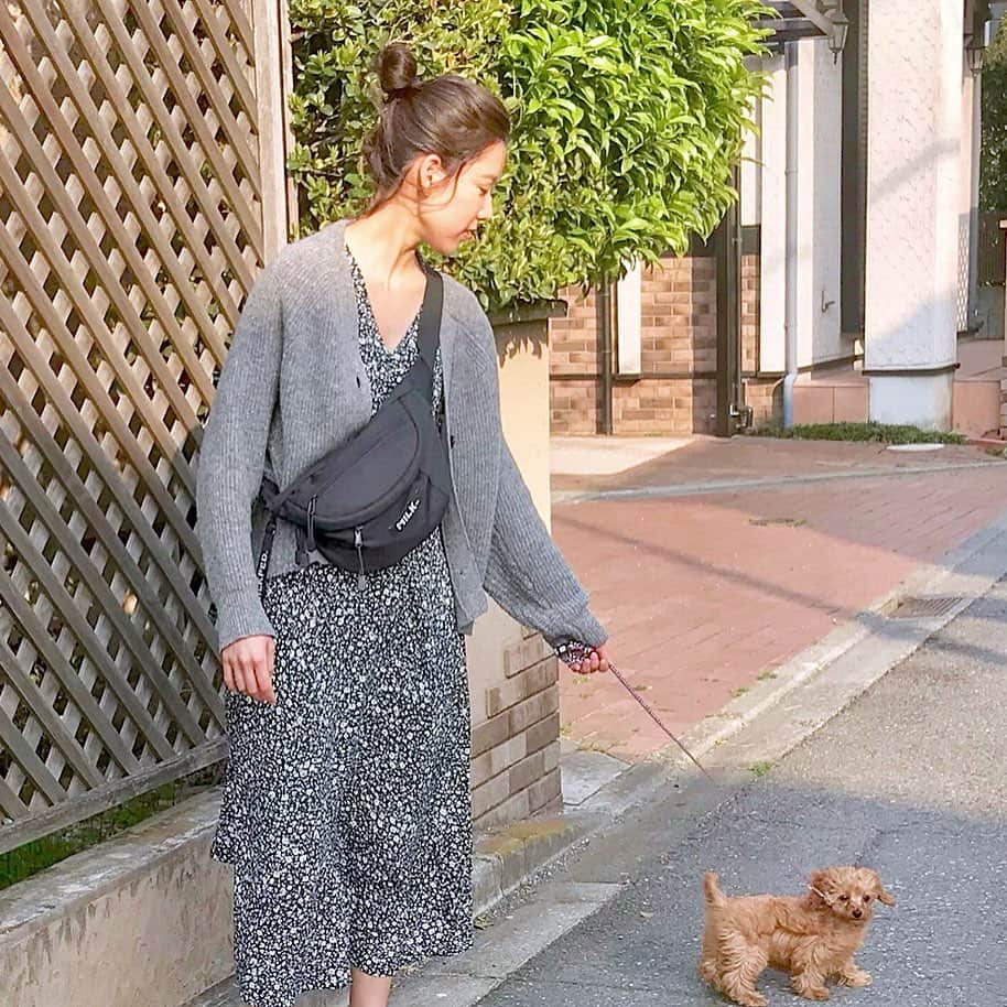 布川桃花さんのインスタグラム写真 - (布川桃花Instagram)「ちびっことお散歩🐕」5月11日 14時39分 - momoka_fukawa