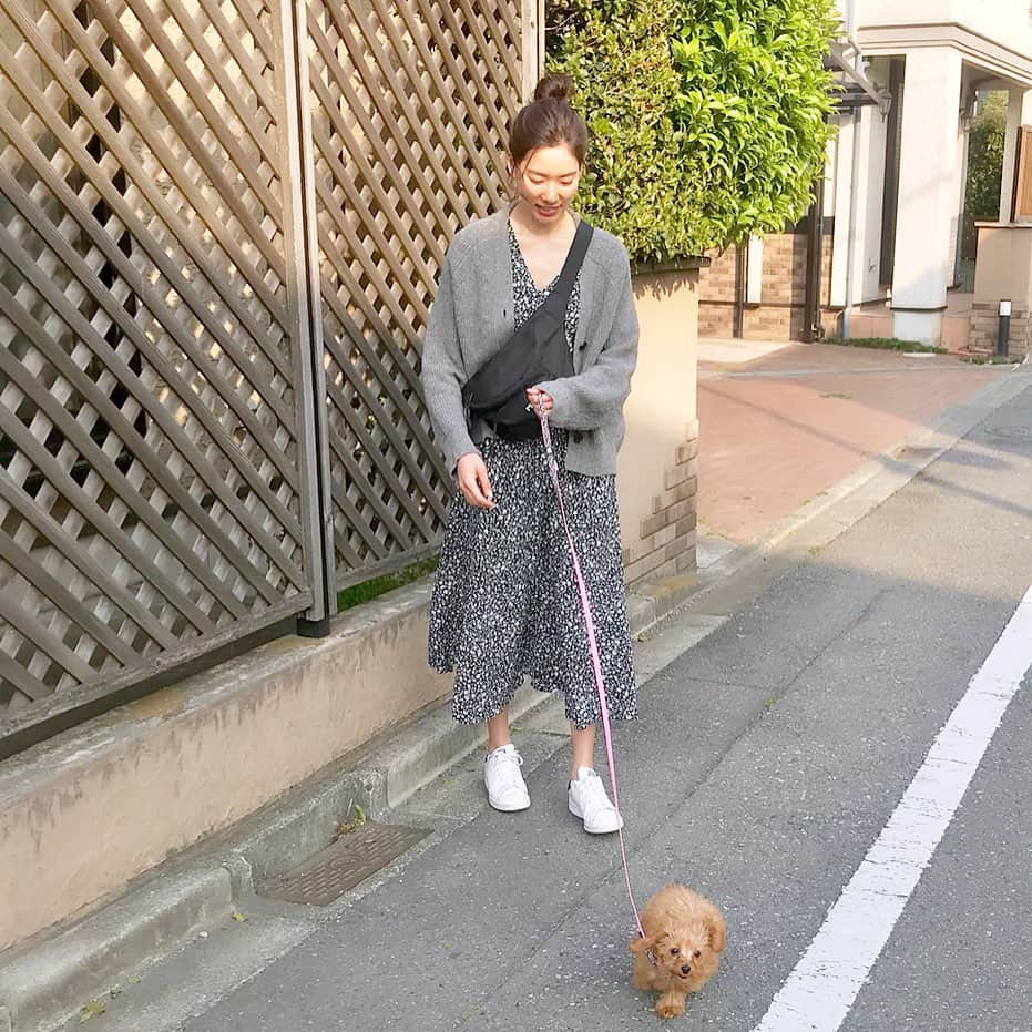 布川桃花さんのインスタグラム写真 - (布川桃花Instagram)「ちびっことお散歩🐕」5月11日 14時39分 - momoka_fukawa