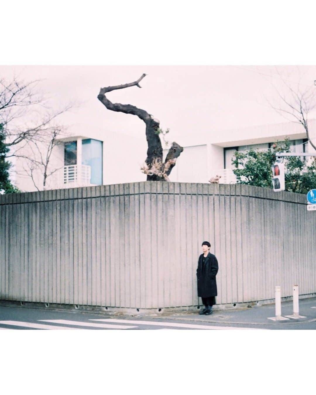 坂口涼太郎さんのインスタグラム写真 - (坂口涼太郎Instagram)「🚦🚶‍♂️ 青になっても渡らなくてもいいじゃないか 📷@koshiro_kato  #portrait」5月11日 15時21分 - ryotarosakaguchi