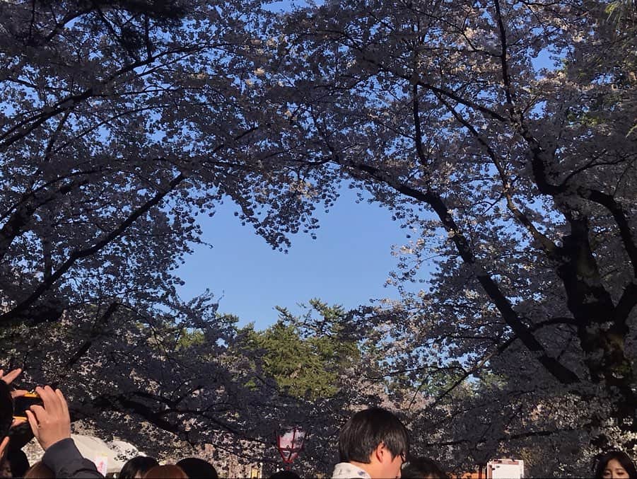 津島衣里さんのインスタグラム写真 - (津島衣里Instagram)「桜でできたハート♥️ in 弘前城 話題になっていたみたい🌳 おはようございます #桜 #ハート #青森 #弘前城 #行くぜ東北」5月11日 6時46分 - eritsushima_official