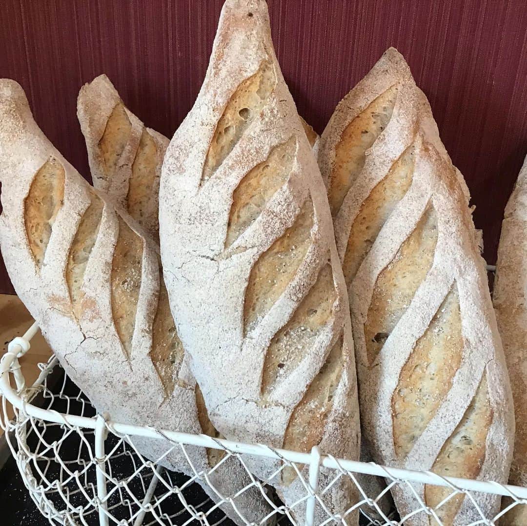 魔女菅原のグルメインスタ