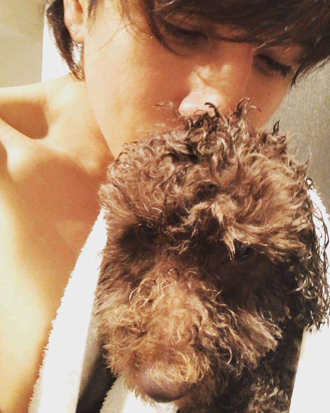 城田純さんのインスタグラム写真 - (城田純Instagram)「久々にルークをシャワーしました🐶🚿 実は最近、5年間飼ってて初めて体調を崩したルーク。  細かな原因は分からなかったけど、1日入院して点滴と注射をして良くなりました。  にしても2日間本当に大変で、いろいろ考えさせられた。  命、健康、人生  とにかく普段元気なルークにもっと感謝して、確実に僕より短い人生（犬生）を、最高の物にしてあげたいと思います。  これからもよろしくな👍✨ たくさんいろんなとこ行って思い出つくろう😉」5月11日 9時48分 - junbopeace