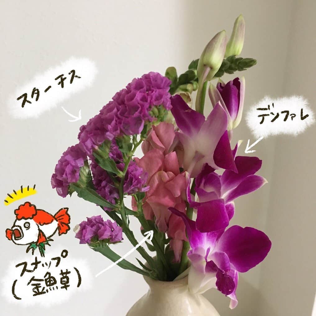 山川あかねさんのインスタグラム写真 - (山川あかねInstagram)「【PRだよ!】 日本初!めざましテレビでも紹介された、今話題のお花定期便  @bloomeelife さんからお花が届きました! キッチンカウンターに飾って洗い物をする時に眺めてニヤニヤしています。可愛い。 今BloomeeLIFEさんでは登録してくださった方に「初回無料クーポン✨」がプレゼントされるそうです✨  クーポンコード:REIWA138 ※有効期限:2019年7月31日  季節のお花がランダムに届くのが、お花束を作ってもらってプレゼントしてもらったような感覚になりなんだか嬉しかったです! #bloomeelife #お花 #金魚草 #お尻漫画 #お尻絵日記 #ipad #procreate」5月11日 10時16分 - dummpuppe