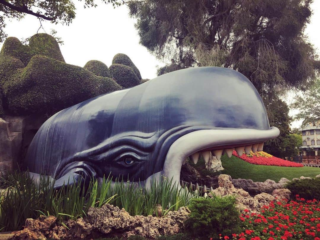 アレクサ・チャンさんのインスタグラム写真 - (アレクサ・チャンInstagram)「Whale of a time.」5月11日 10時22分 - alexachung