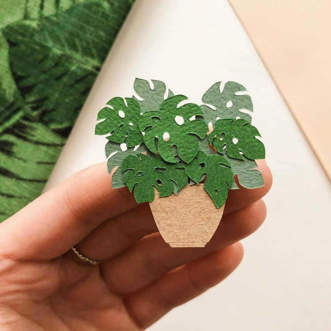 The Louunのインスタグラム：「Live #plant #monstera available at #plantofinstagram #plantsofinstagram #plantlady www.etsy.com/shop/plantroomla 🌿📦Beautiful #craftwork from @lissova_craft」