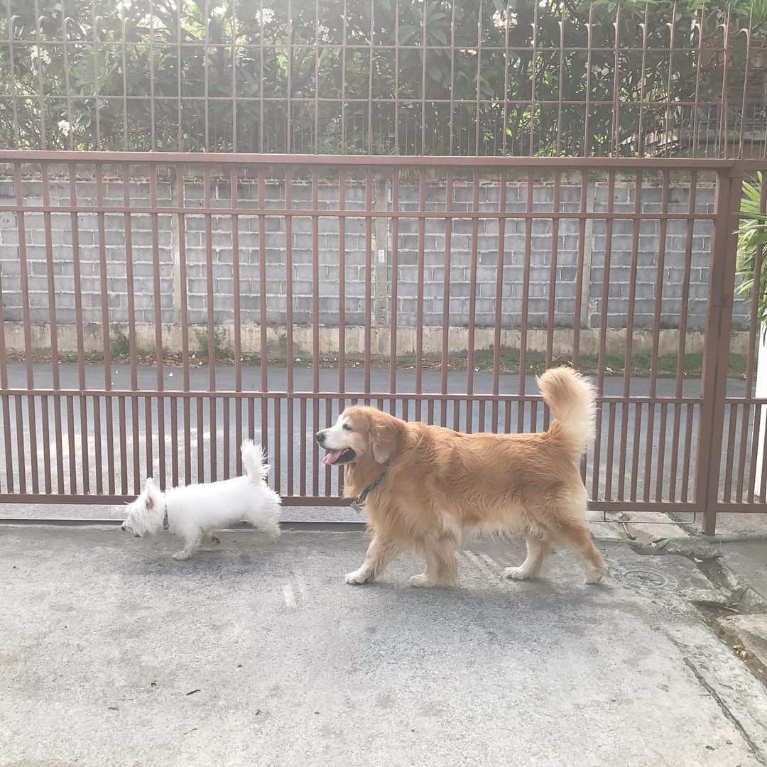 Hoykong&Plamuekのインスタグラム：「Yeah! It’s Saturday 😊」