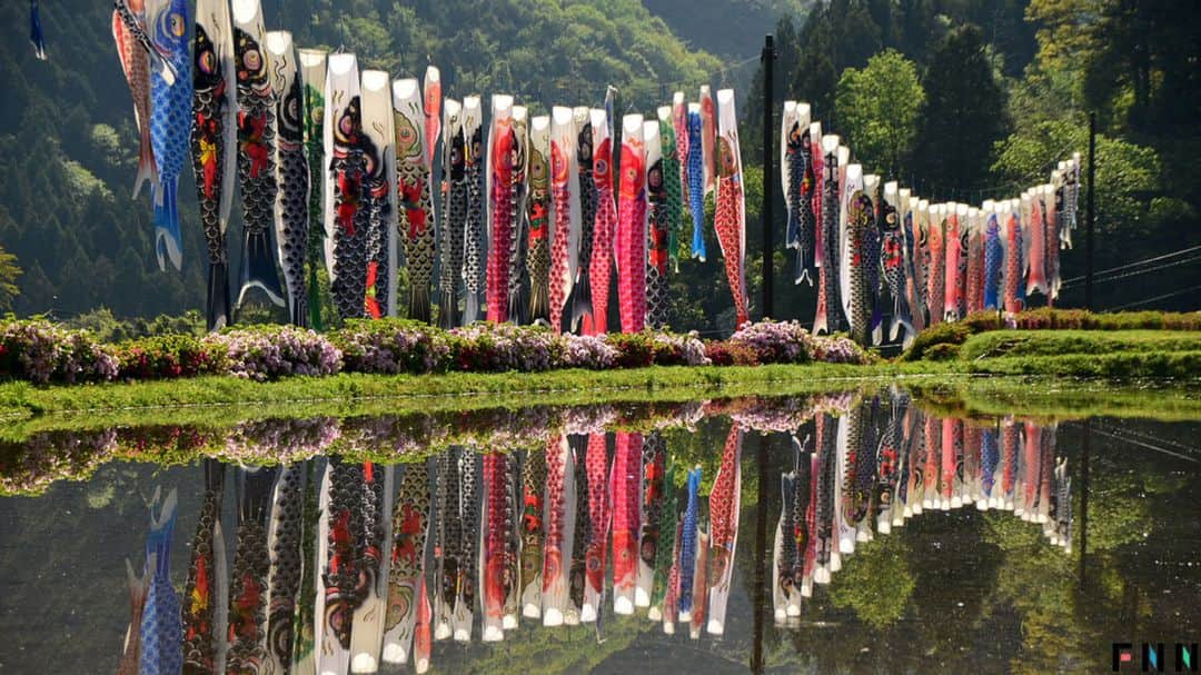 フジテレビ「FNNビデオPost」のインスタグラム：「「ぴ～すけ」さんから、水田に映えるこいのぼりの写真が届きました。  トップページのURLからご覧いただけるビデオPostギャラリーにて、約1カ月間、掲載中です！ #FNNビデオPost　#美しい風景　#花と草木　#イベント　#綺麗　#風景　#景色　#空　#山　#青空　#こいのぼり　#japan」