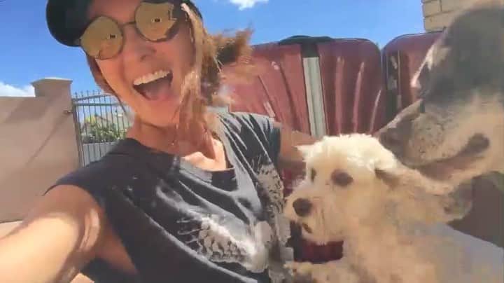 シャーニ・ヴィンソンのインスタグラム：「S U R P R I S E !!! 💙🐶🐕🦴 #reunion #nationalpetweek #dogs #love #happiness #mummyshome #myboys #bestdayever」