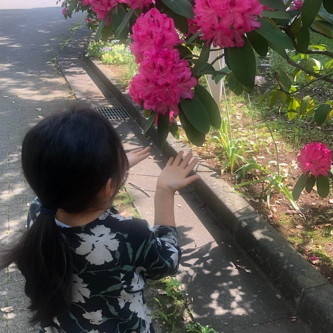 市川海老蔵 （11代目）さんのインスタグラム写真 - (市川海老蔵 （11代目）Instagram)「* おんなじことしとる笑笑  #市川海老蔵 #海老蔵 #成田屋 #歌舞伎 #ABKAI #ABMORI #ebizoichikawa #ebizo #kabuki #thunderparty #theater #theaterarts #actor #japan #classic」5月11日 11時15分 - ebizoichikawa.ebizoichikawa