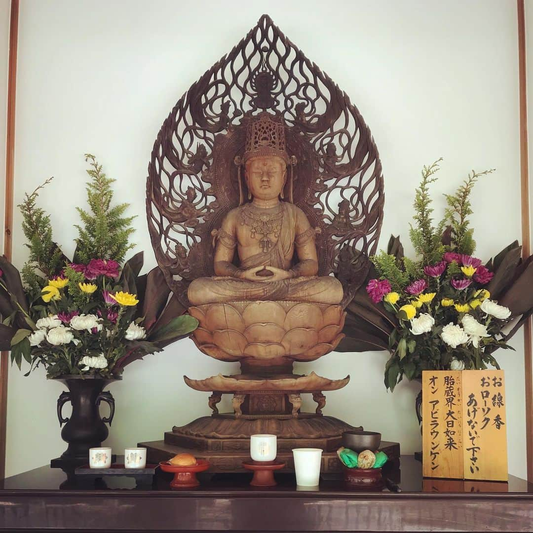 小嶋晶子さんのインスタグラム写真 - (小嶋晶子Instagram)「At Myoo-in Temple of Naritasan Osaka Betsuin. #naritasanfudoson #naritasan #osaka #japan #🇯🇵」5月11日 11時34分 - kojimamajiko