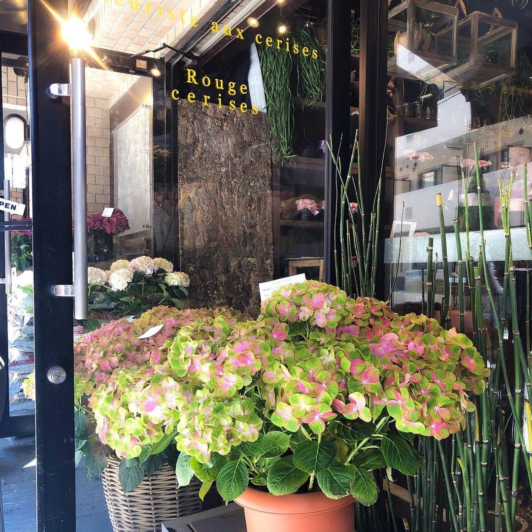 石井美保さんのインスタグラム写真 - (石井美保Instagram)「今年も見事な紫陽花の品揃え。 @aux_cerises さんで毎年恒例母の日のお花をお願いしました。」5月11日 12時06分 - miho_ishii