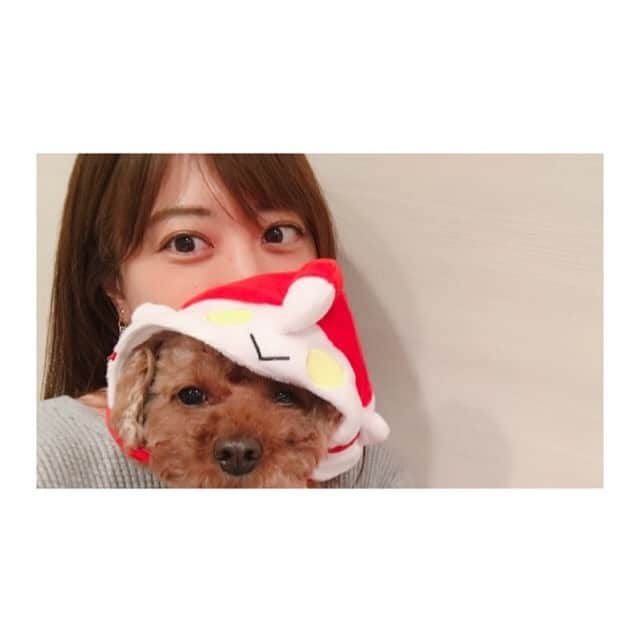 福田沙紀さんのインスタグラム写真 - (福田沙紀Instagram)「先日お買い物してたら偶然見つけて… 買わずにはいられませんでした。  しゅわっち。٩( ᐛ )و  #しゅわっち#ボールも欲しかったけど絶対一瞬で破壊するから諦めた#女の子です #この表情よ」5月11日 12時09分 - sakifukuda_official