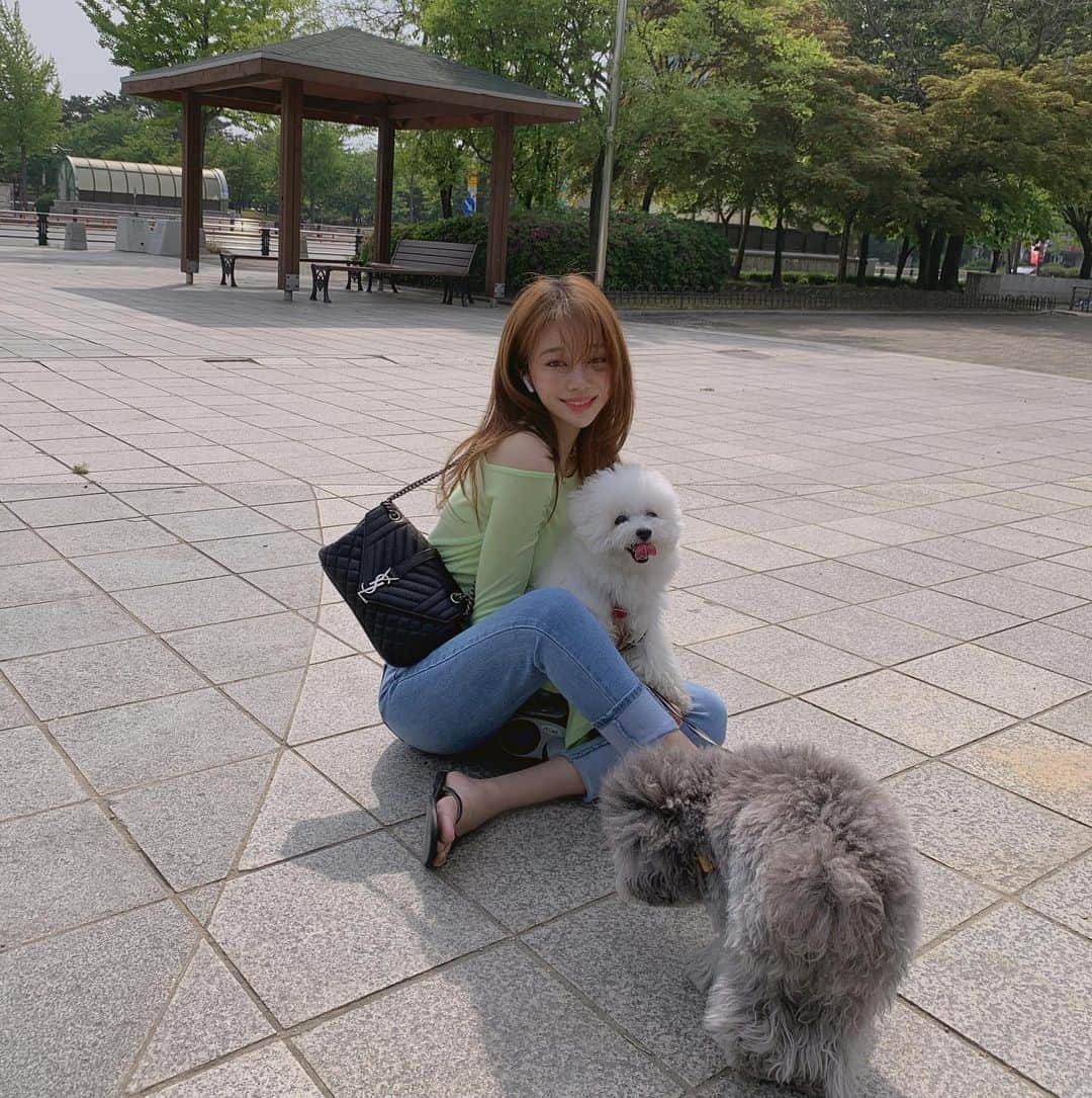 チョ・ミニョンさんのインスタグラム写真 - (チョ・ミニョンInstagram)「#앙모찌와엄마랑 🐶 ♥👩🏽 - 산책 필요없어 엄마무릎이 최고인 앙모찌들 ⠀⠀⠀⠀⠀⠀⠀ 넘어갈 때 앙 모찌 두마리 들었다가 현타온 내표정과 이와중 인형같은 앙모찌 ⠀⠀⠀⠀⠀⠀⠀ 엄마 따라다니기 ⠀⠀⠀⠀⠀⠀⠀ 모찌 왜자꾸 엄마 불러? ⠀⠀⠀⠀⠀⠀⠀ 횡단보도 건너는 뒷 모습 너무 귀염뽀짝 - #개린이들 #육아중 🤓💕」5月11日 13時46分 - xxjominxx