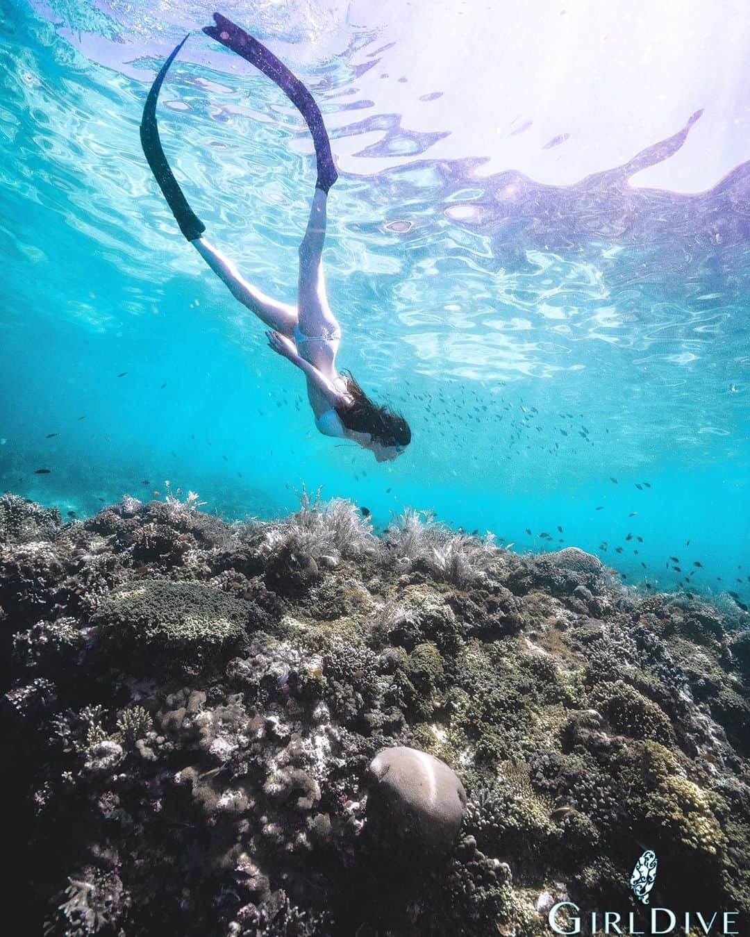 kailynne Zhangのインスタグラム：「Finally can cross this off my bucket list. Thanks to @jovifs_freedive you made me a real life mermaid!」