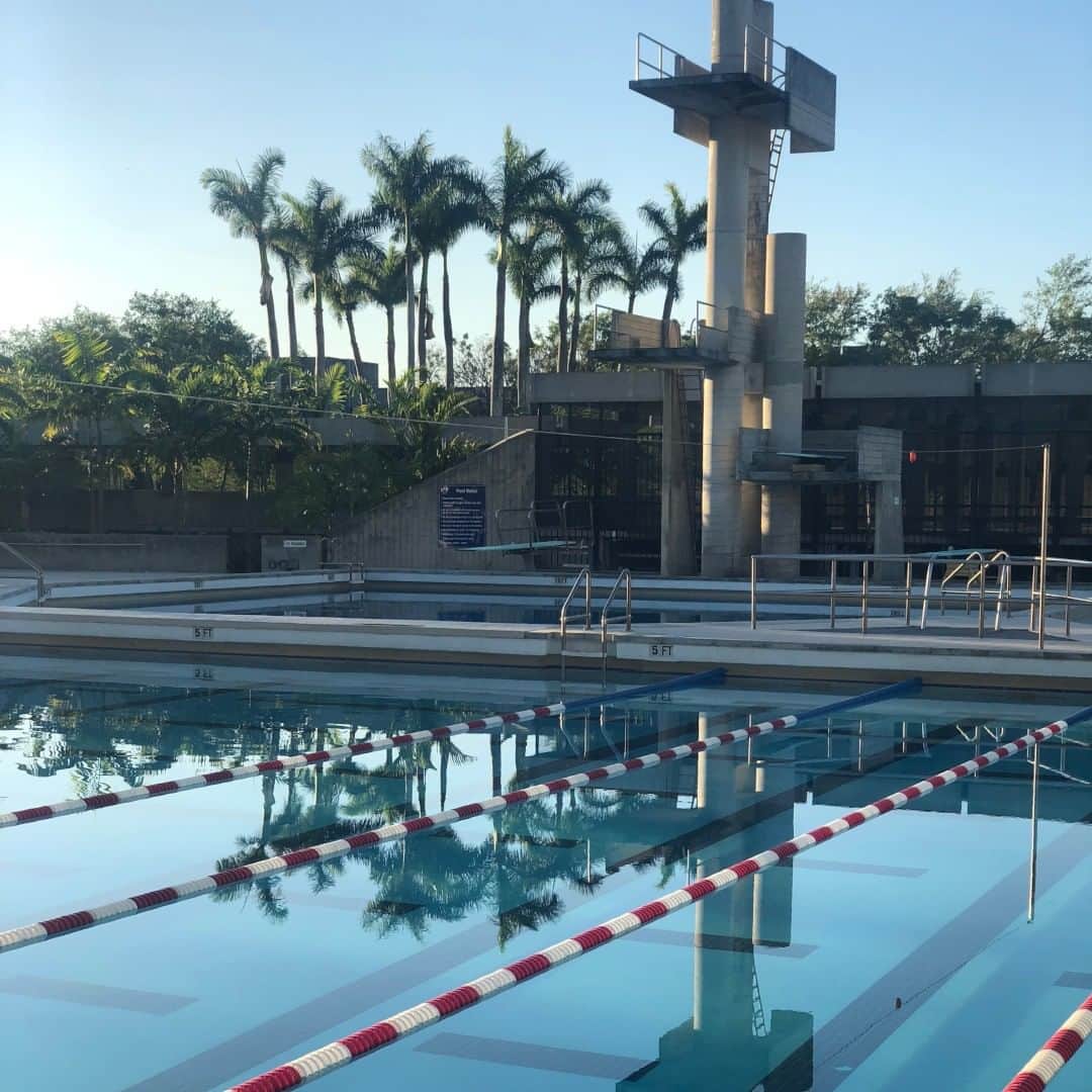 スピードさんのインスタグラム写真 - (スピードInstagram)「We took a photo of this beautiful pool during our Miami shoot. Who would want to swim here for their next Saturday morning swim? #Pool #Swimming #Speedo」5月11日 23時20分 - speedo
