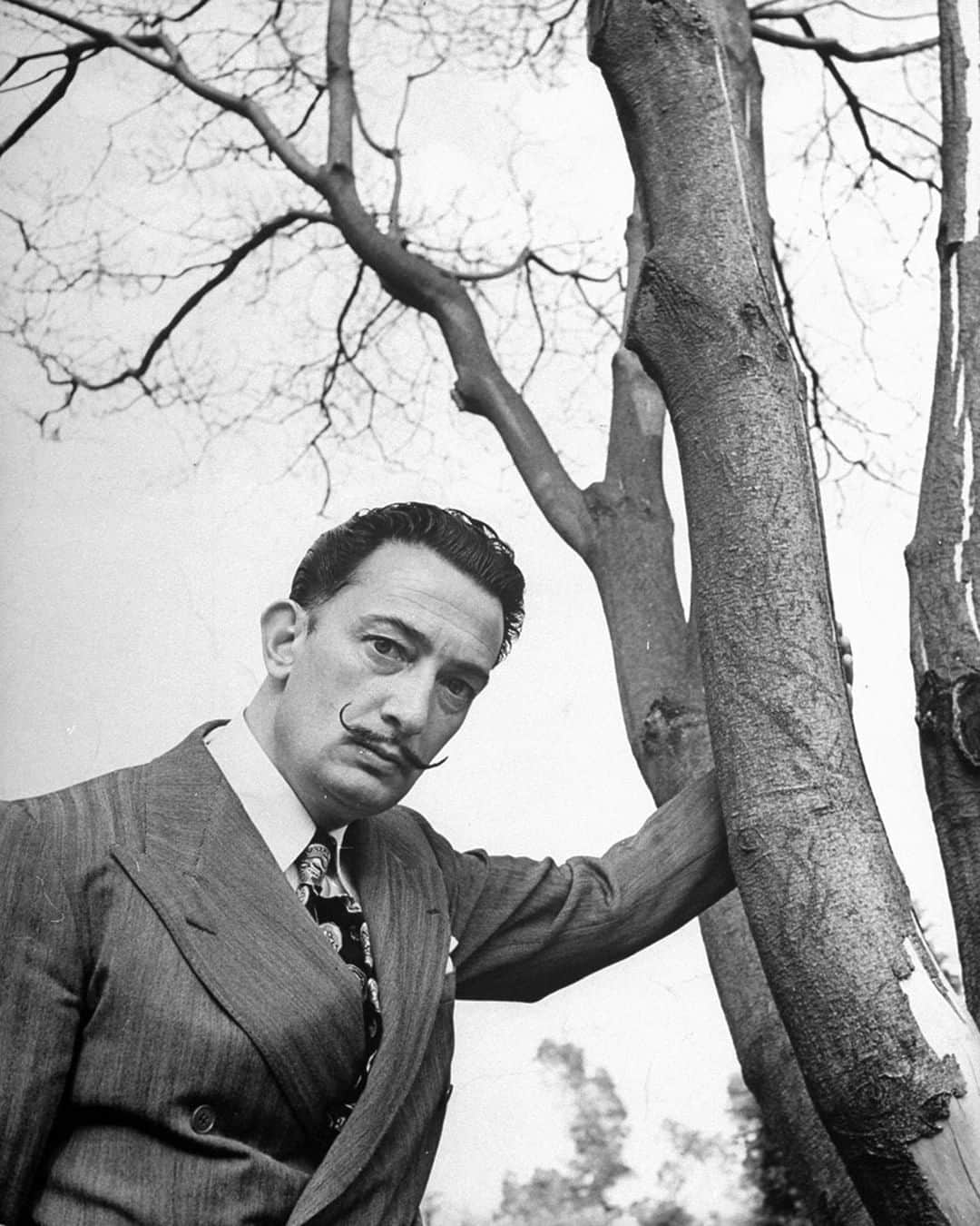 lifeさんのインスタグラム写真 - (lifeInstagram)「LIFE legend Salvador Dali was born 115 years ago today on May 11, 1904 in Catalonia, Spain. The influential surrealist painter is pictured here in 1945. According to LIFE, "An excitable Spanish artist, now scorned by his fellow surrealists, has succeeded in making deliberate lunacy a paying proposition." (Martha Holmes—The LIFE Picture Collection/Getty Images) #LIFElegends #SalvadorDali #Surrealism」5月11日 23時30分 - life