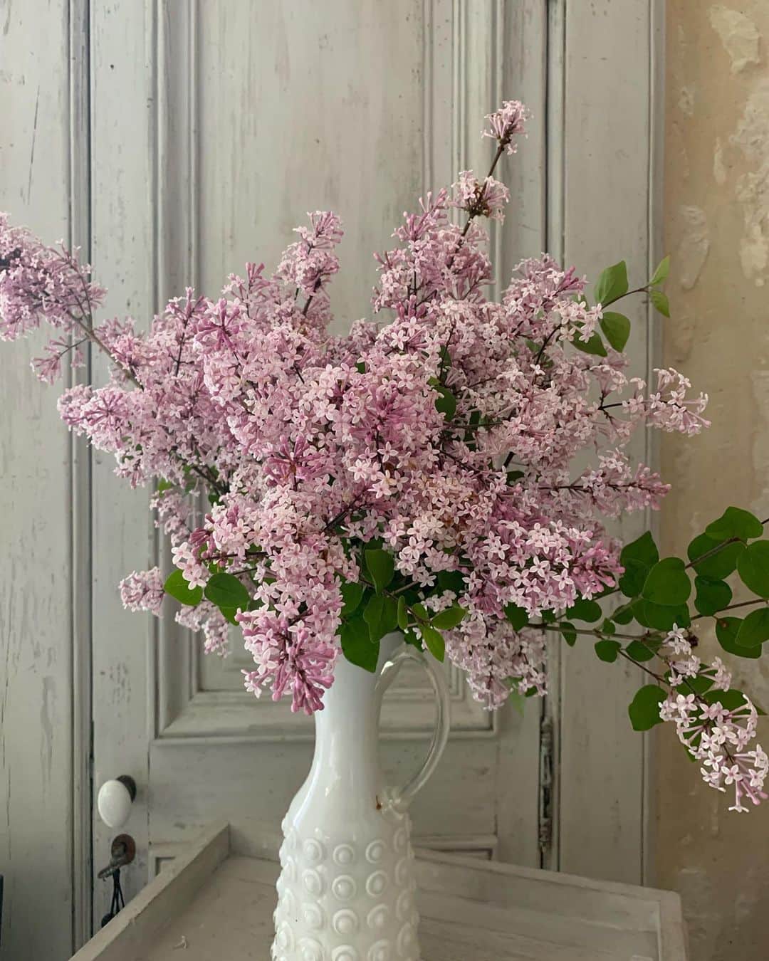 シャンタルトーマスさんのインスタグラム写真 - (シャンタルトーマスInstagram)「Flowers from my garden #fleurs #jardin #campagne」5月12日 0時32分 - chantalthomass