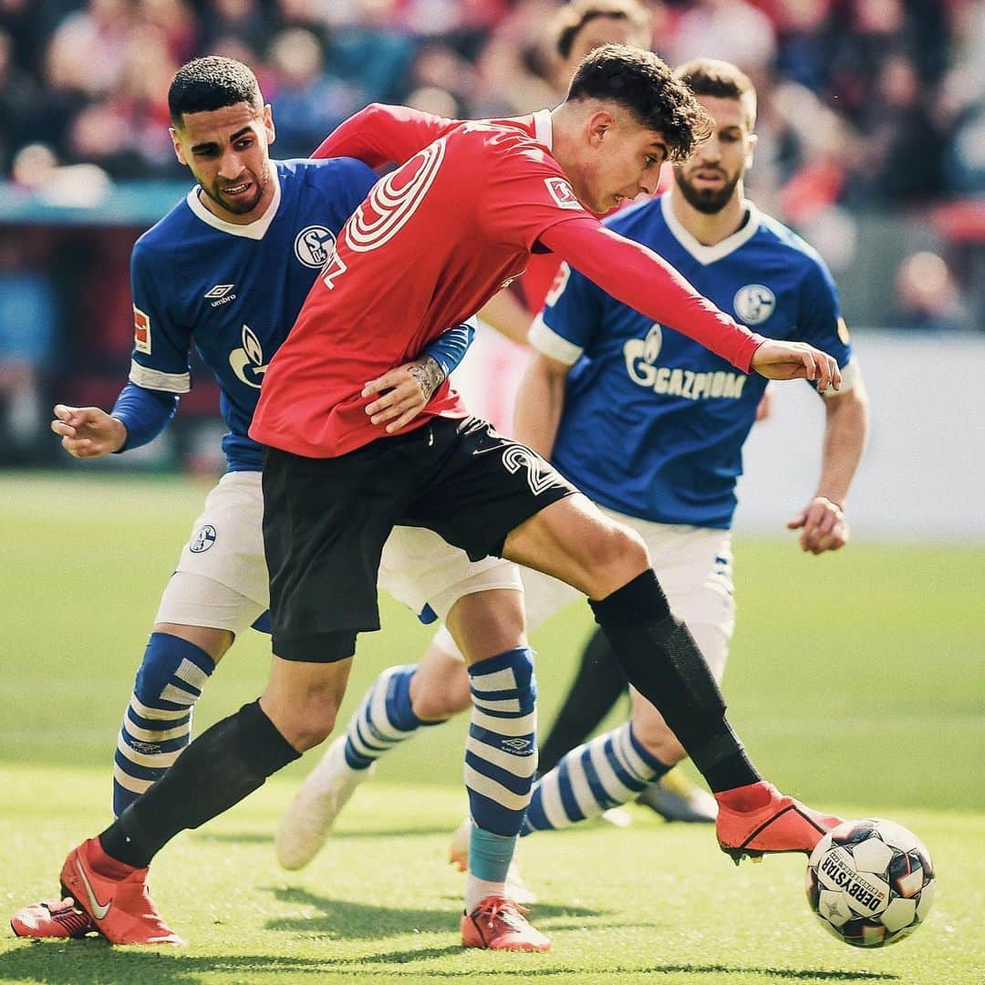 バイエル・レバークーゼンさんのインスタグラム写真 - (バイエル・レバークーゼンInstagram)「Schalke stops #Bayer04‘s winning streak, it’s 1-1 at full time. 😒 #B04S04 #40JahreBundesliga #Bundesliga #Bayer04 #Werkself」5月12日 0時33分 - bayer04fussball