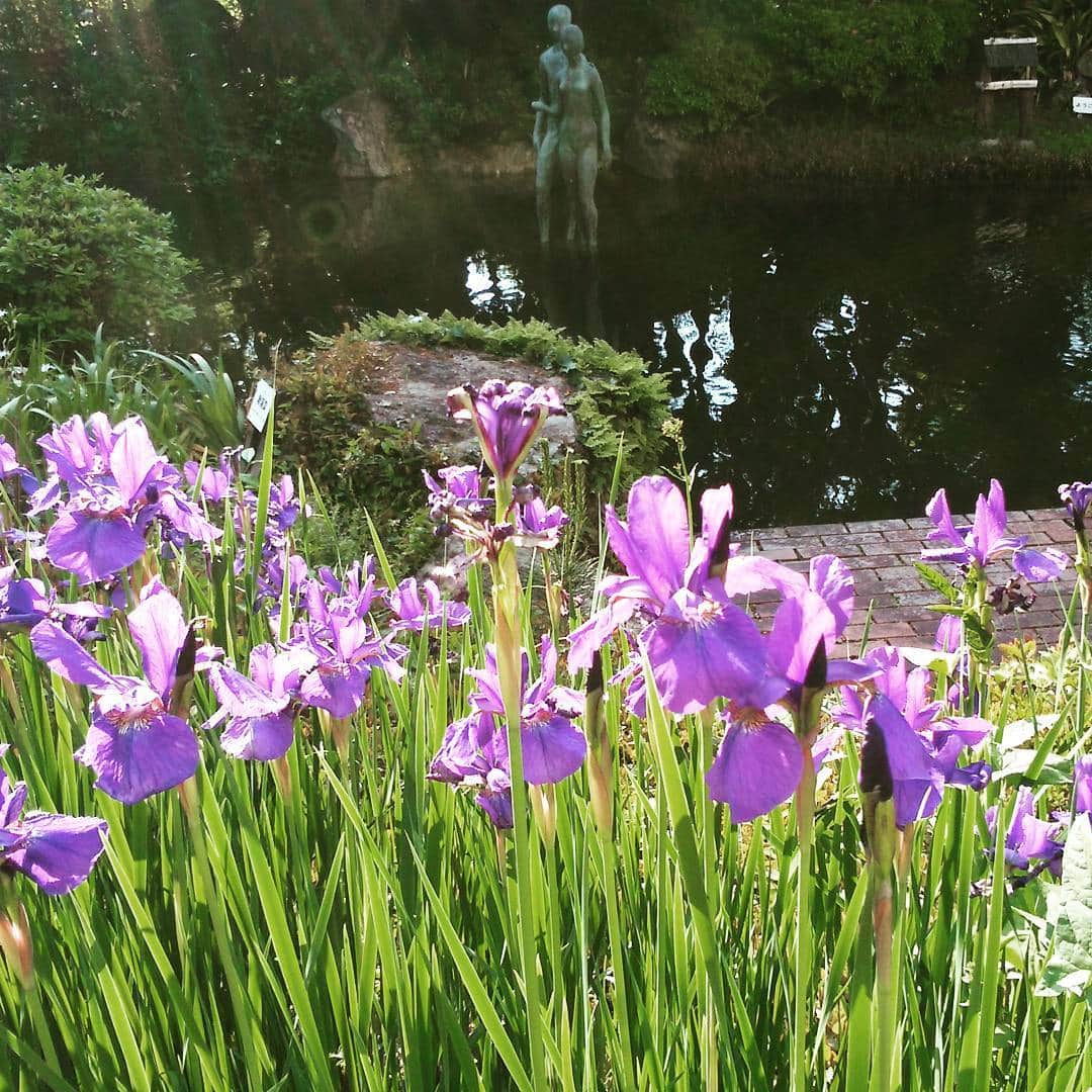 ホテルアンビエント伊豆高原のグルメインスタ