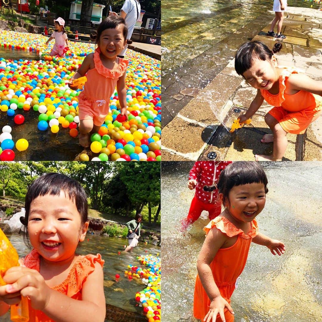 新井美穂さんのインスタグラム写真 - (新井美穂Instagram)「今日は朝早くから#チャプチェ と、穴子の#きんぱ とメロの#ジョン#韓国風ピタカ で#韓国風お弁当 こしらえて、娘と#郷土の森 へ。 お弁当の存在を知ってしまうと、お弁当食べるまで落ち着かない娘は行きの電車の時点で「これはおかあさんのおはしだからね」と私の割り箸割って準備完璧（笑）#娘からの圧力 なので着いて早々10時半にお弁当タイム😅 やはり#メロ の皮にがっつく娘（笑）#魚の皮好き たらふく食べてから、古い建物#水遊び 存分に満喫した後 帰りの駅前マクドナルド見て、お腹空いたとおねだりされ、ハッピーセット食べる娘。お弁当意味ないやーん😭（笑） #娘2歳11ヵ月#休日おでかけ#お弁当#よく食べる娘#食欲旺盛」5月11日 16時41分 - arai_miho