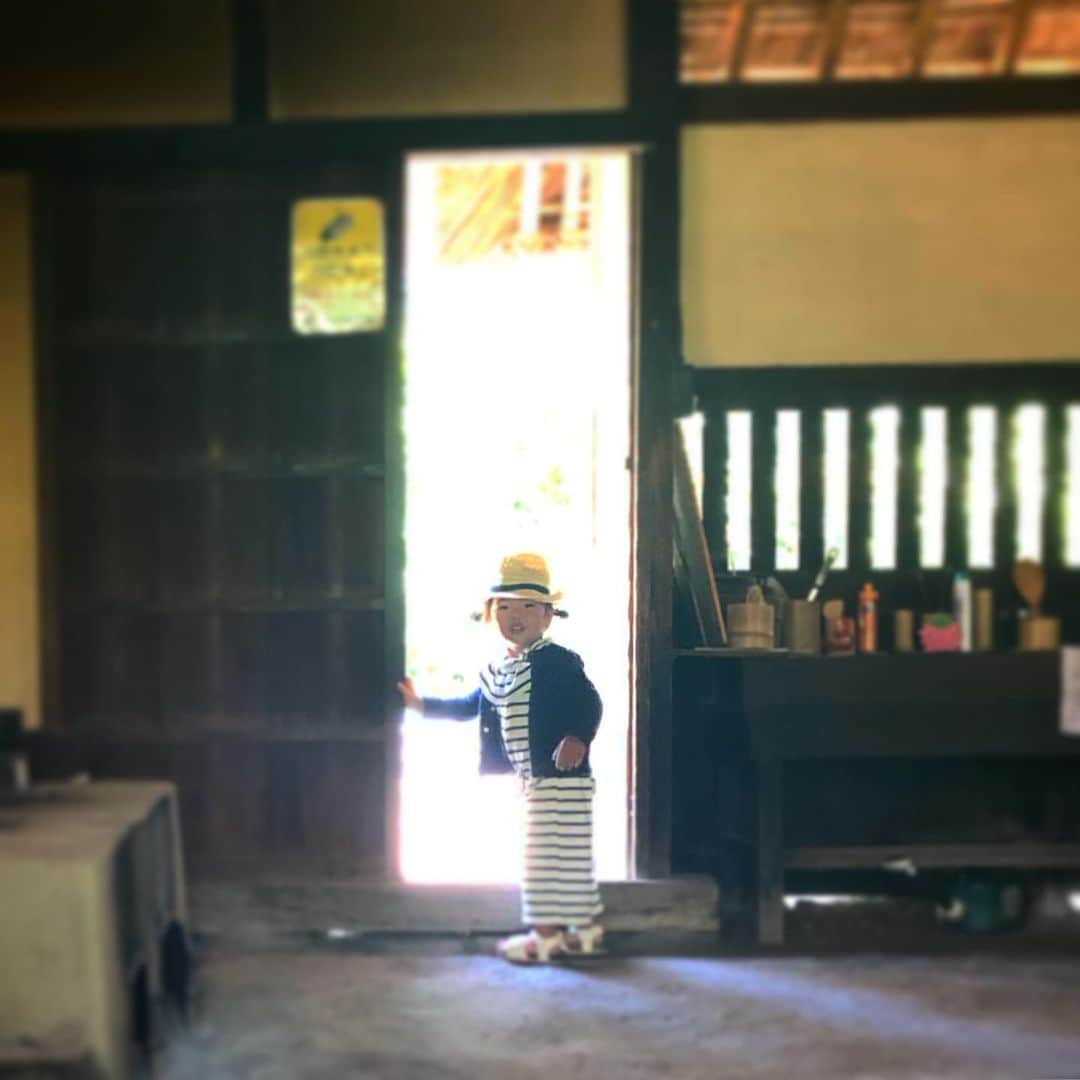 新井美穂さんのインスタグラム写真 - (新井美穂Instagram)「今日は朝早くから#チャプチェ と、穴子の#きんぱ とメロの#ジョン#韓国風ピタカ で#韓国風お弁当 こしらえて、娘と#郷土の森 へ。 お弁当の存在を知ってしまうと、お弁当食べるまで落ち着かない娘は行きの電車の時点で「これはおかあさんのおはしだからね」と私の割り箸割って準備完璧（笑）#娘からの圧力 なので着いて早々10時半にお弁当タイム😅 やはり#メロ の皮にがっつく娘（笑）#魚の皮好き たらふく食べてから、古い建物#水遊び 存分に満喫した後 帰りの駅前マクドナルド見て、お腹空いたとおねだりされ、ハッピーセット食べる娘。お弁当意味ないやーん😭（笑） #娘2歳11ヵ月#休日おでかけ#お弁当#よく食べる娘#食欲旺盛」5月11日 16時41分 - arai_miho