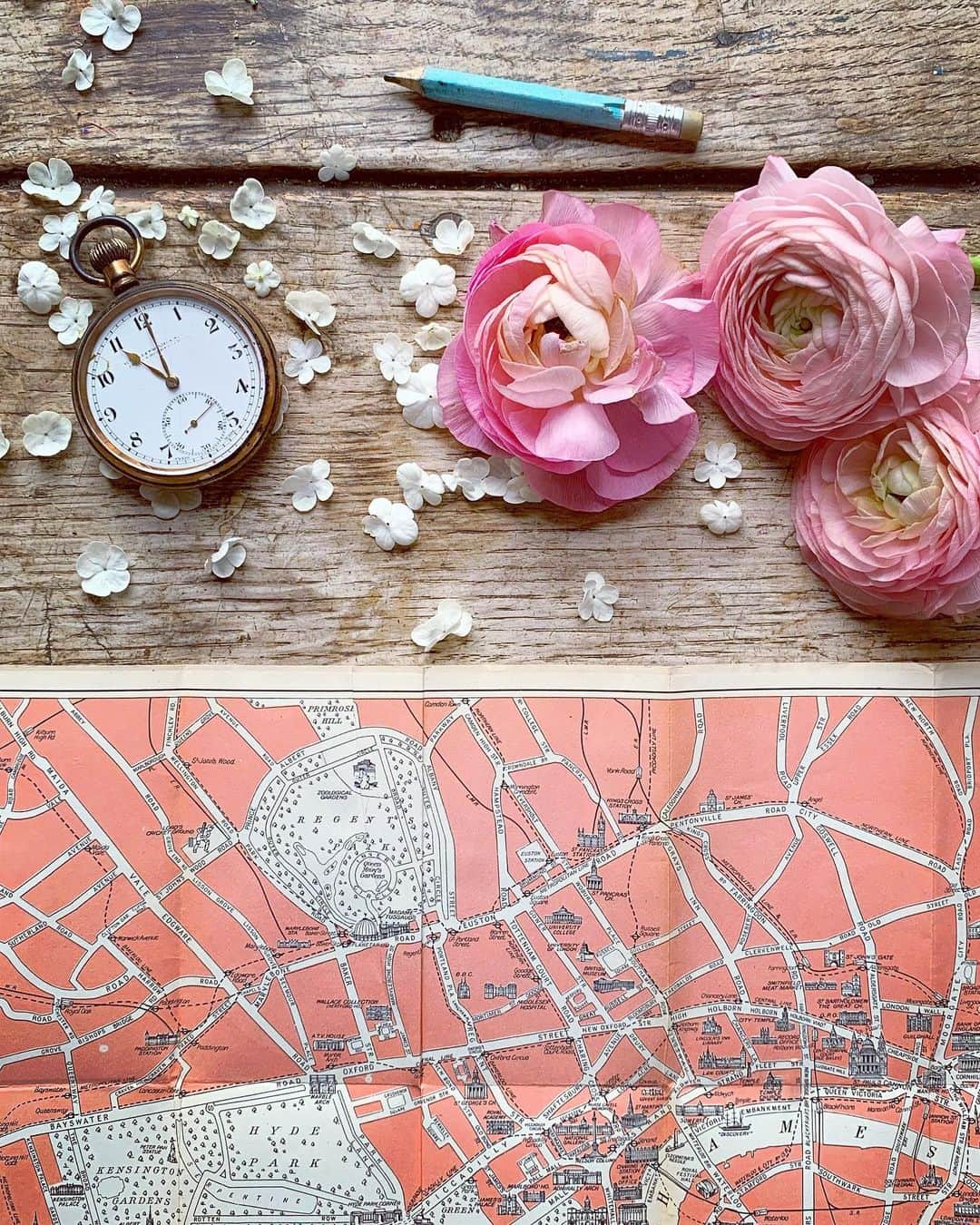 Tea and sittingさんのインスタグラム写真 - (Tea and sittingInstagram)「💞🌿 A Geographia Pictorial Plan in pink from a Visitor’s Guide to London 1965... ( I’m a bit of a vintage map anorak! ) ——————————————————— ...and in my Stories at the moment I’m trying to get an idea of best days and times for some London photo walks in June/July so if you have a preference it would brilliant if you can let me know via the poll 🤩 ——————————————————— #vintagemaplove #vintagemaps #londonmap #pinklondon #pinklove #pinkmap #myghostposts」5月11日 17時00分 - 5ftinf