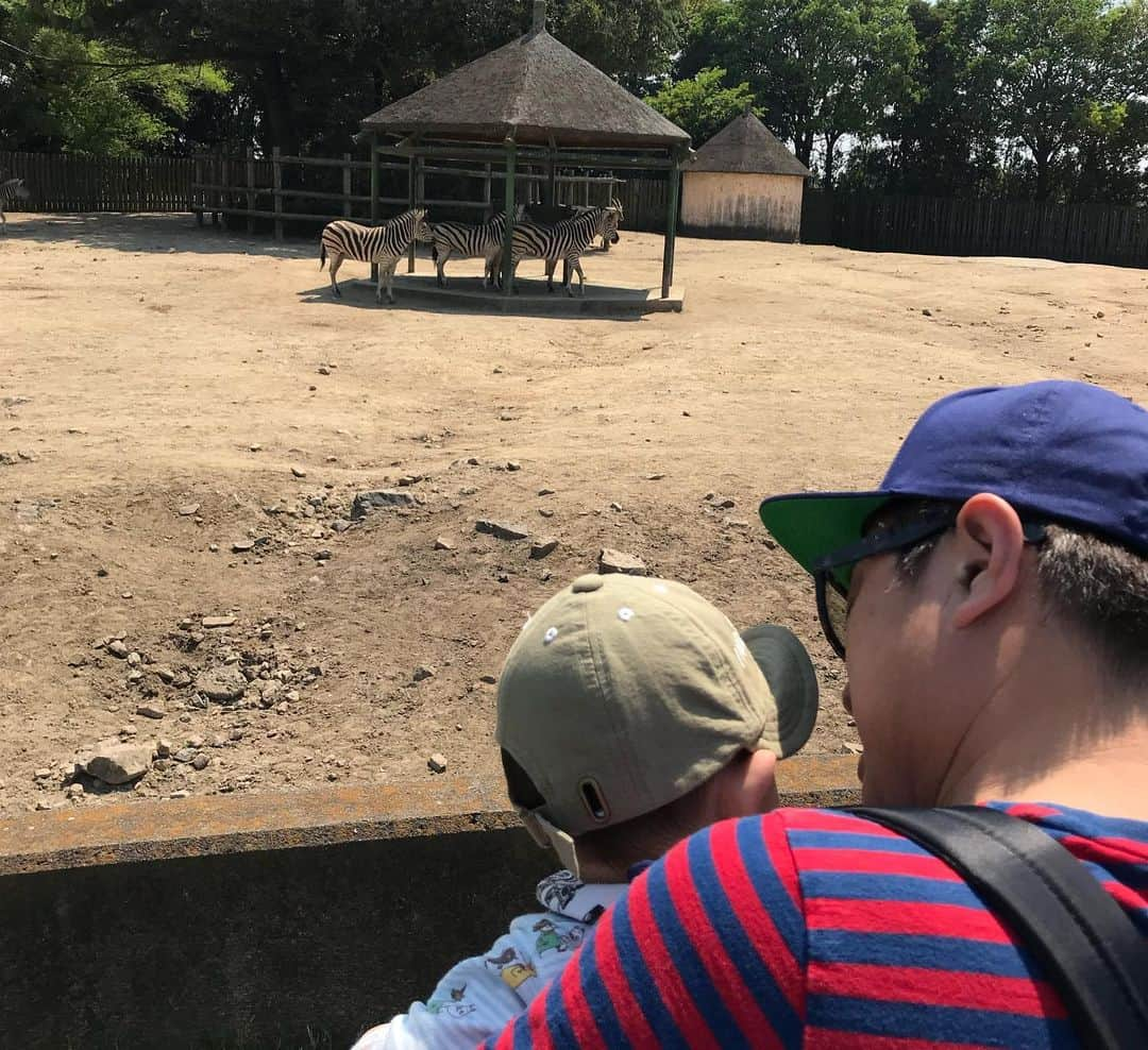 高橋みゆきさんのインスタグラム写真 - (高橋みゆきInstagram)「東武動物公園🐘🐧🐆心坊初の動物園👶キョロキョロと🎶大きくなって何の動物が好きになるのかな？🐶💕 #東武動物公園 #子連れたくさん #いい距離歩いた #お花綺麗でした💐」5月11日 17時39分 - shin_miyukichi