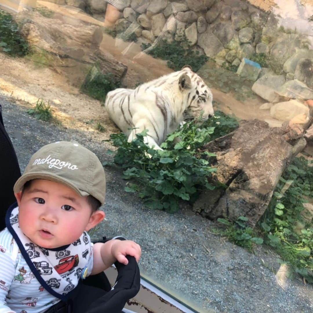 高橋みゆきさんのインスタグラム写真 - (高橋みゆきInstagram)「東武動物公園🐘🐧🐆心坊初の動物園👶キョロキョロと🎶大きくなって何の動物が好きになるのかな？🐶💕 #東武動物公園 #子連れたくさん #いい距離歩いた #お花綺麗でした💐」5月11日 17時39分 - shin_miyukichi