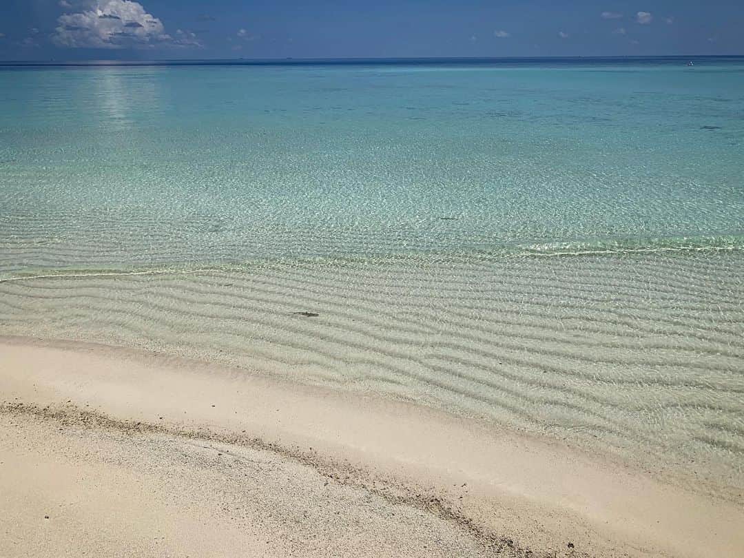 豊大槻さんのインスタグラム写真 - (豊大槻Instagram)「#maldives #beach #モルディブ ＃黒い影はリーフシャーク？かな？」5月11日 18時58分 - yutakachi
