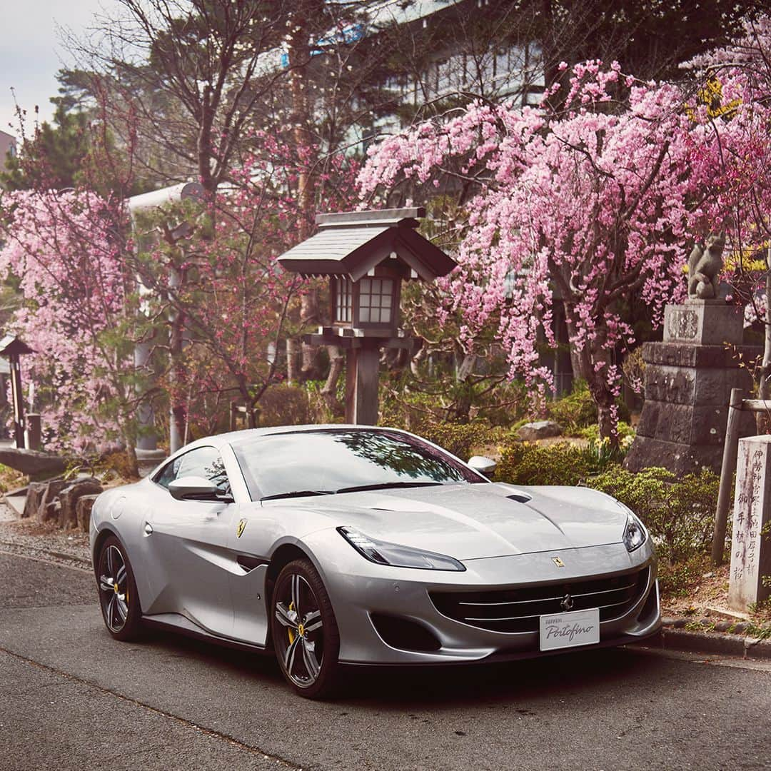 フェラーリさんのインスタグラム写真 - (フェラーリInstagram)「An ode to spring. The #FerrariPortofino remains true to its level of stylistic beauty in this dream-like landscape. #JourneyWithFerrariPortofino #FerrariPortofinoExperience #Japan」5月11日 19時01分 - ferrari