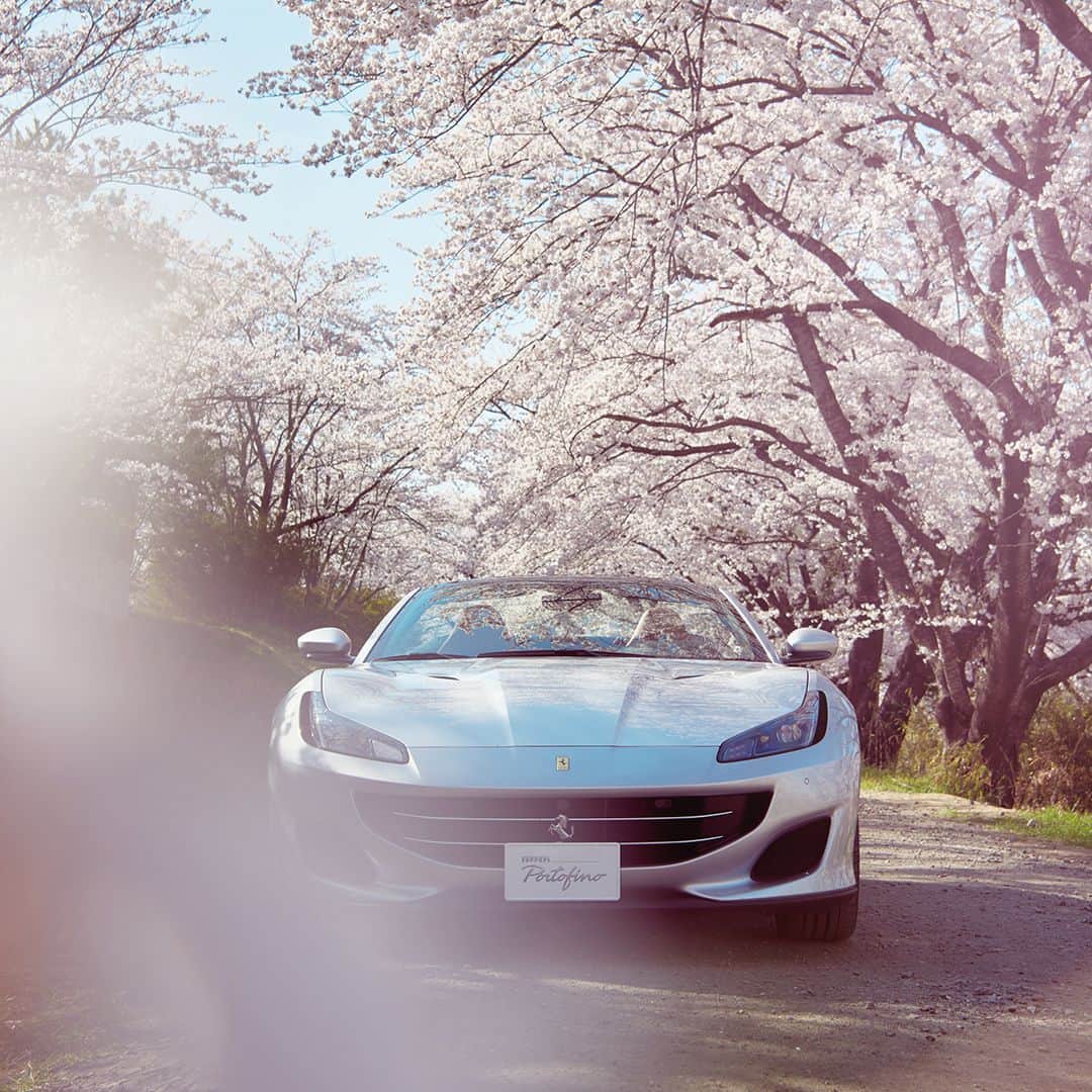 フェラーリさんのインスタグラム写真 - (フェラーリInstagram)「An ode to spring. The #FerrariPortofino remains true to its level of stylistic beauty in this dream-like landscape. #JourneyWithFerrariPortofino #FerrariPortofinoExperience #Japan」5月11日 19時01分 - ferrari