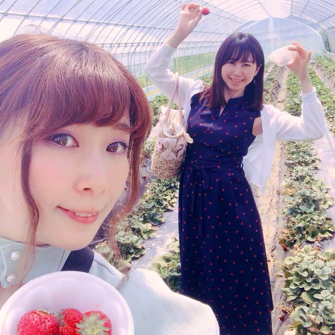兼田恵さんのインスタグラム写真 - (兼田恵Instagram)「さてまだ終わってなかったGWの思い出を。 栃木のわたし好みのステキな景色の中でイチゴ狩り！最高だよ！ とちおとめ甘かったー！！ わたしたちだけ時間ギリギリまで食べてた。 #いちご狩り #とちおとめ#gwの思い出 #ごちそうさまでした🙏💕」5月11日 20時32分 - earl_megu