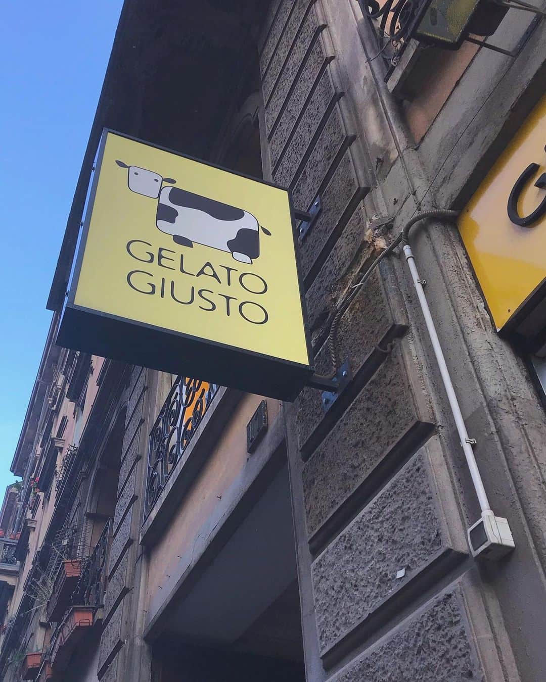 Nagisa 나기사さんのインスタグラム写真 - (Nagisa 나기사Instagram)「🇮🇹Italian Gelatos🇮🇹﻿ ﻿﻿ Gelato Giusto﻿ ﻿ イタリアンジェラート編、最後は﻿ 出来るだけ近くで採れた新鮮な材料を使って作っているGelato Giusto。﻿ ﻿ 正直、あんまり便利な場所にあるとは言い難いかなーと個人的には思ったのですが、それでも小さなお店には絶えず溢れるミラネーゼが。﻿ 持ち帰り用のボックスを頼んでいる人も多かったです。﻿ ﻿ 砂糖や脂肪分も出来るだけ減らして健康的なジェラート作りをしているのだそう。﻿ ﻿ 牛のマークがあるし、やっぱりウリはミルク系なのかな？と思い、チョコチップとチョコレート、そしてイチゴの3種で注文。﻿ ﻿ 人工香料、人工色素、保存料などが一切使われていないので、さっぱりしつつも素材本来の甘味などが活きていて美味しかったです。﻿ ﻿ ﻿ Gelato Giusto﻿ Via S. Gregorio, 17, 20124 Milano MI﻿ ﻿ ﻿ ﻿ #イタリア旅行 #イタリア #ローマ #ローマカフェ #カフェ #女子旅 #ひとり旅 #カフェ巡り #cafe #ジェラート #cafestagram #eat #love #旅muse_cafe #tabijyomap_italy」5月11日 20時52分 - nagisa0713