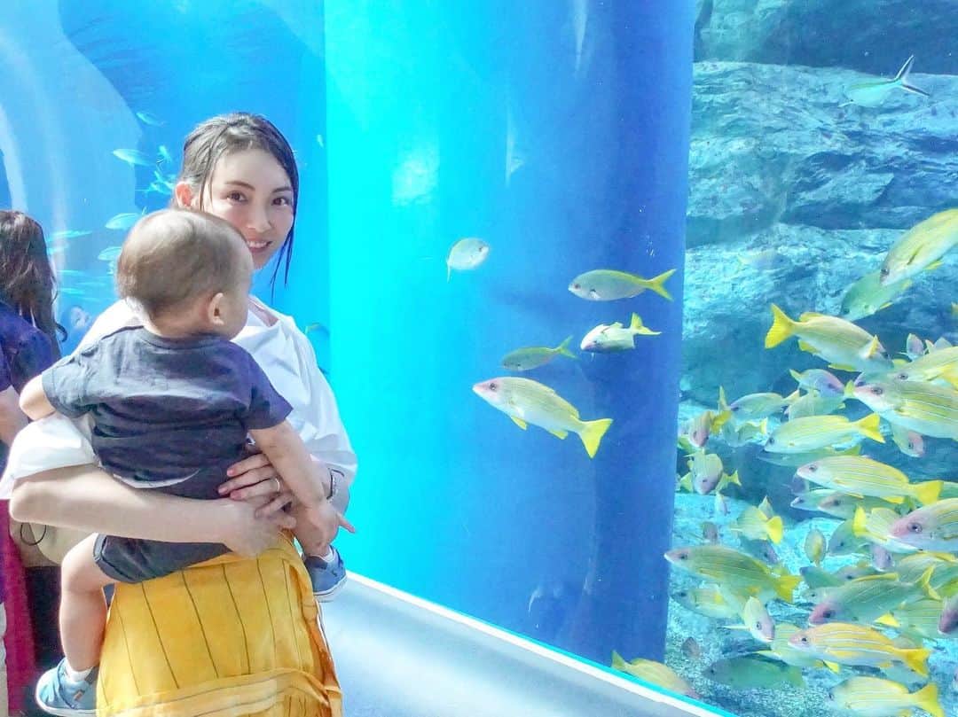 押切もえさんのインスタグラム写真 - (押切もえInstagram)「母と息子と3人で水族館へ。 息子は初の水族館。 ダイナミックなイルカのショーや鮮やかな色の熱帯魚、可愛らしいペンギンやクラゲなどの生き物に興味津々の様子でした。 私もとても癒されました♡ #水族館 #aquarium #イルカショー #感動❤︎ #メリーゴーランドも初 #一日早い #母の日 ❤︎」5月11日 21時12分 - moe_oshikiri