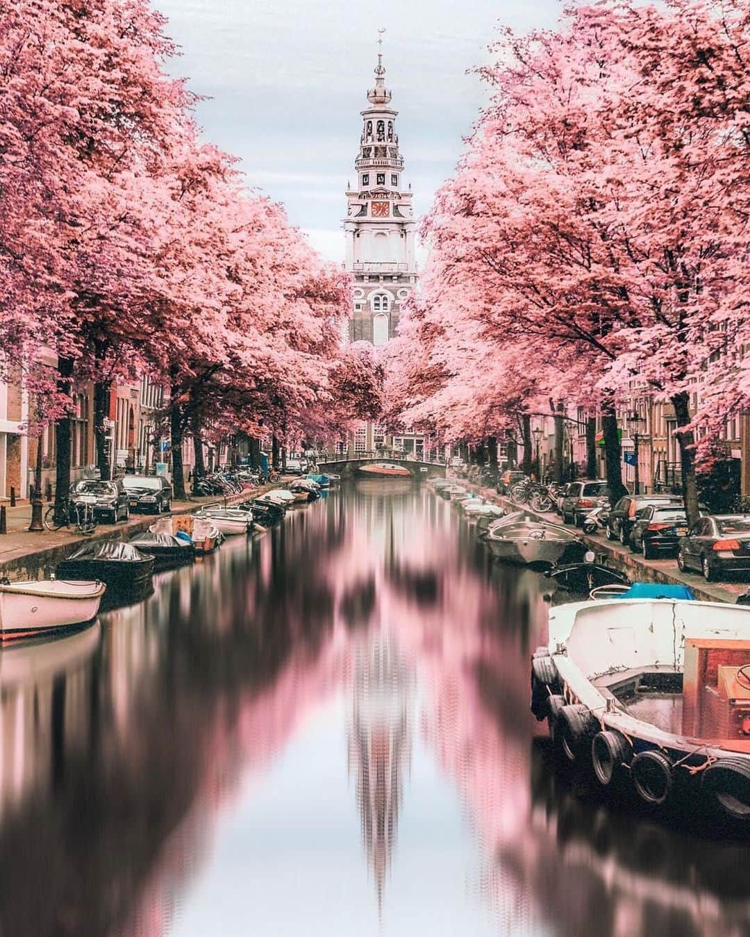BEAUTIFUL DESTINATIONSさんのインスタグラム写真 - (BEAUTIFUL DESTINATIONSInstagram)「How beautiful is the foliage in Amsterdam? @neskirimli captures a peaceful afternoon in the city using infrared photography. Have you strolled the streets of Amsterdam before? Tell us your experience! 🌸 (📷: @neskirimli 📍: Amsterdam, Netherlands)」5月11日 21時15分 - beautifuldestinations