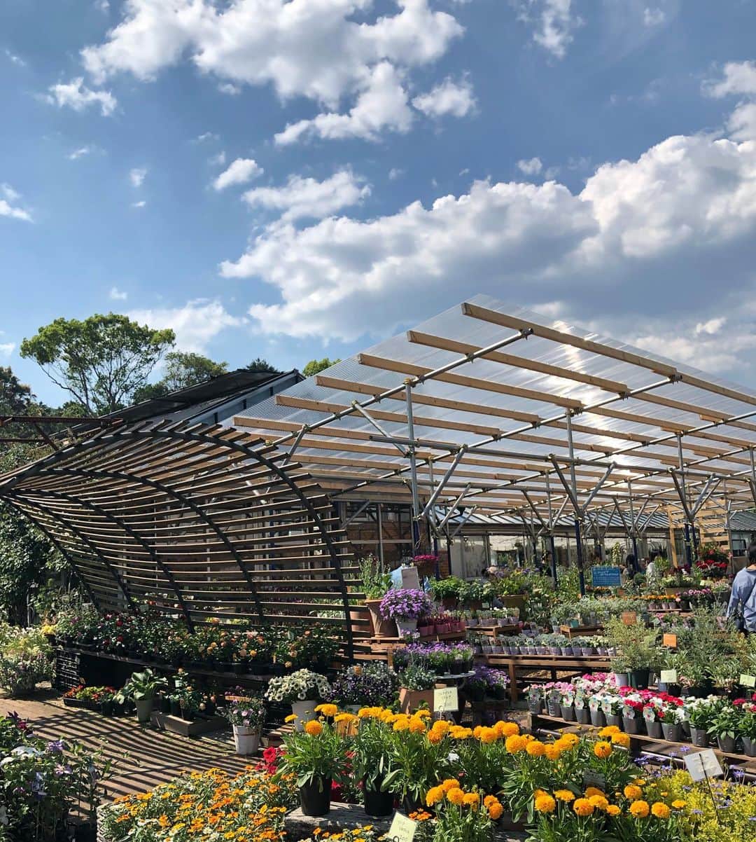 Princess M Classicのグルメインスタ