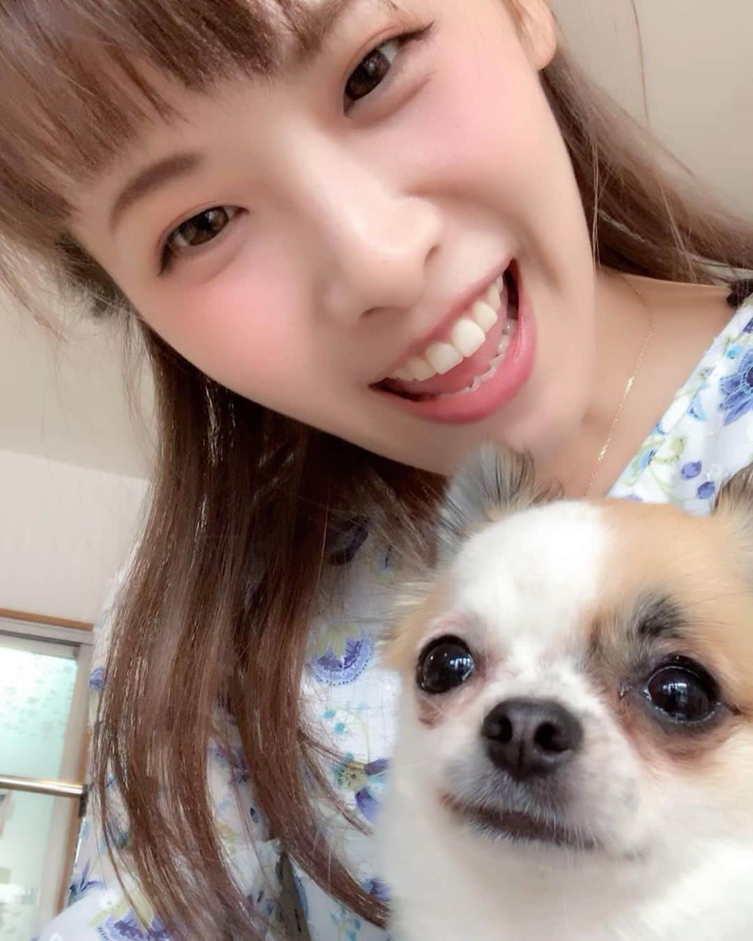 岡野綾夏さんのインスタグラム写真 - (岡野綾夏Instagram)「ぷーすけ❤️ . 1日にたくさんの動物にふれあえたよ…💗 . かわいすぎるから 小出しにしちゃう🐶♥️ . #みんなも癒されて💕 #今日はわんこ #チワワ #動物カフェ #人懐っこい子たちばっかり」5月11日 21時21分 - ayaka.o531