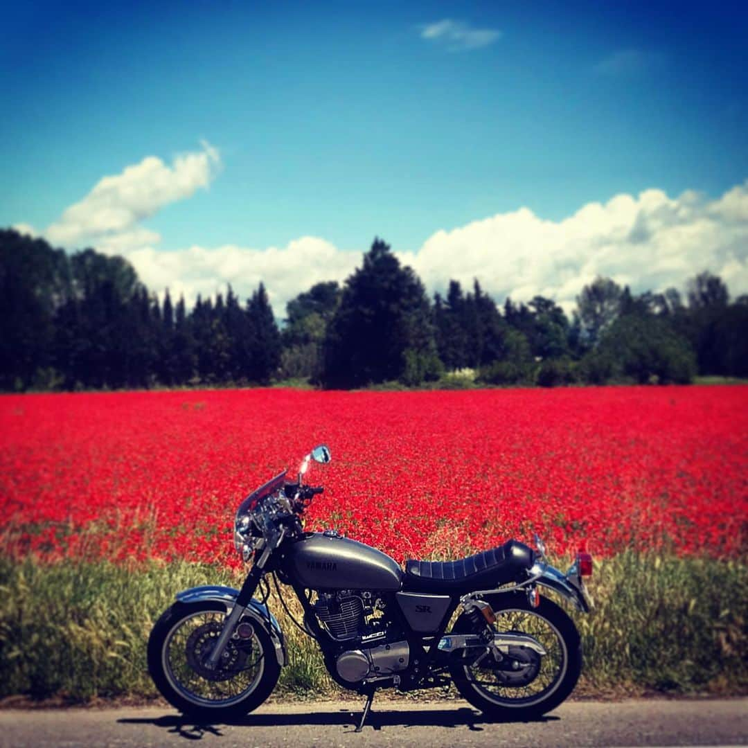 小林十市さんのインスタグラム写真 - (小林十市Instagram)「#sr400  #yamaha #suddelafrance #南仏ライダー」5月11日 21時24分 - monsieur_11