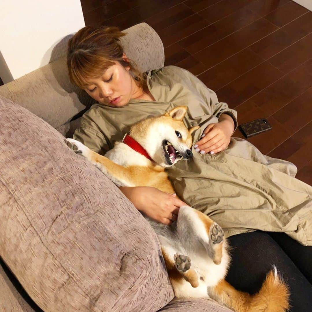 柴犬ハル&保護犬すずさんのインスタグラム写真 - (柴犬ハル&保護犬すずInstagram)「💤 . 爆&睡 . #おかーしゃーんーおかーしゃーん #おかーしゃーんのお腹ぶよんぶよーん #楽しいなー楽しいなー #おかーしゃーんーお風呂入ってよー🛁 #化粧落とさないと老けるよー #ハルはシャンプーはしないのでそこんとこヨロシク . #柴犬#柴#kagoshima#dog#puppy#shibainu#shibastagram#いぬバカ部#family#鹿児島#赤柴#雑種#天文館#日本犬#保護犬を家族に#シャンプー#美容師#化粧」5月11日 22時09分 - haruharu040777