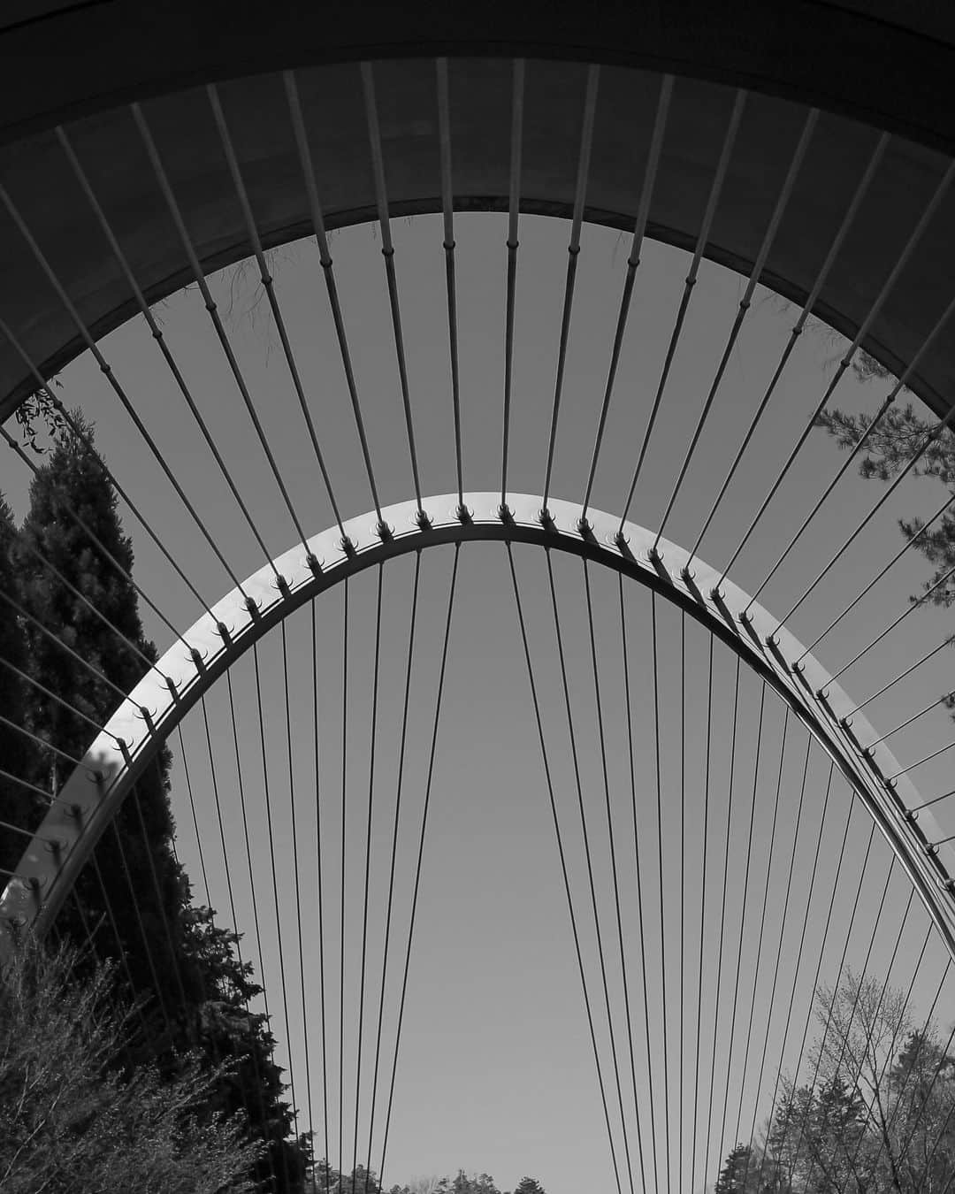 s_shoheyのグルメインスタ