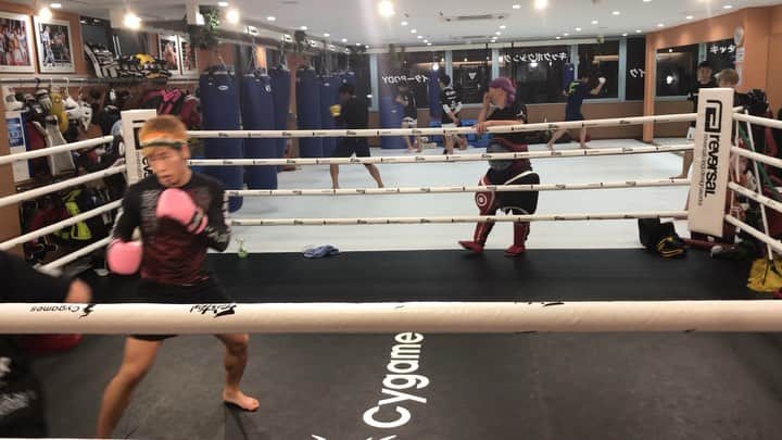 のインスタグラム：「🥊総合ミット🥊 パウンド強化中です！！ 天心さんありがとうございました😊 #神龍誠 #総合格闘技 #ミット打ち #teppengym」
