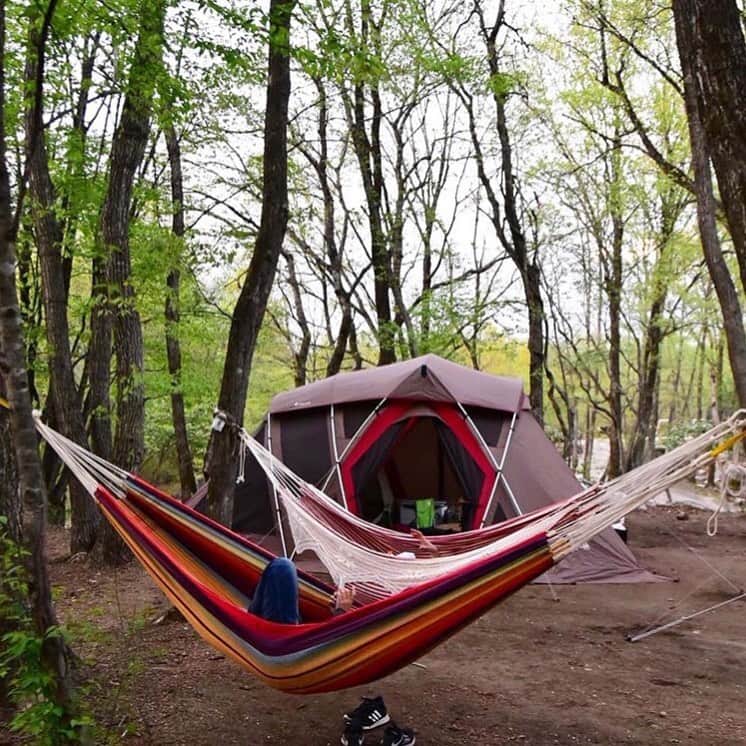 hinata_outdoorさんのインスタグラム写真 - (hinata_outdoorInstagram)「@nisidakさんのpic✨⠀ ⠀ ⠀⠀ 林間サイト🏕🌲を利用して、⠀ テントの前に張られた2つの⠀ ハンモックでユラユラ夢心地ですね🥰✨⠀ ⠀ ⠀⠀⠀ 〜ハンモックでゆったり癒しのキャンプサイト🧘‍♂️🏕✨〜⠀⠀ ⠀⠀ お天気にゆったりユラユラ過ごす休日は最高😆🙌お子さん👶🏻からわんちゃん🐶、ファミリー👨‍👩‍👧‍👦、ソロキャンプ💁‍♂️と様々な素敵キャンプサイトをご紹介します🎪🎶⠀ ⠀ ⠀⠀⠀ 🌳🌲🌼🌳🌲🌲🌳🌲🌳🌲🌻🌳🌳⠀⠀ #hinataoutdoor を付けて⠀⠀ アウトドア風景を投稿してください😊⠀⠀ 🌳🌲🌳🌲🌻🌲🌳🌲🌳🌼🌲🌳🌳 ⠀ ⠀⠀⠀ 素敵なお写真はリポストさせて頂きます✨ ⠀ ⠀⠀⠀ 🚙キャンプや山登りのアウトドア情報はプロフィールのURLから ➡ @hinata_outdoor ⠀ ⠀ ⠀ ⠀⠀⠀ 🍖美味しそうなキャンプ料理の写真は➡️⠀⠀ @hinata_gohan⠀⠀ *⠀⠀ *⠀⠀ #キャンプ #アウトドア #アウトドアギア #ハンモック #ハンモック泊 #絶景キャンプ #campgear #outdoorgear #camp #campliving #outdoor #campstyle #camping #campinglife #camplife #outdoorstyle #outdoors #outdoorliving #outdoorlife #hinataoutdoor #フォローミー #followme」5月11日 22時25分 - hinata_outdoor
