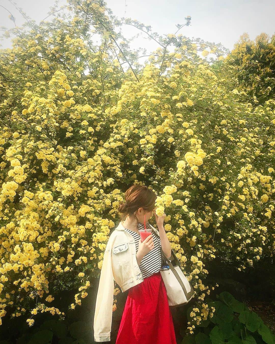 黒澤詩音のインスタグラム：「*﻿ ﻿ ﻿ #atami﻿ ﻿ ﻿ #flower #flowergarden #shizuoka #japan #akaoherbandrosegarden #trip #熱海 #旅行 #熱海旅行 #静岡旅行 #熱海観光 #アカオハーブアンドローズガーデン」
