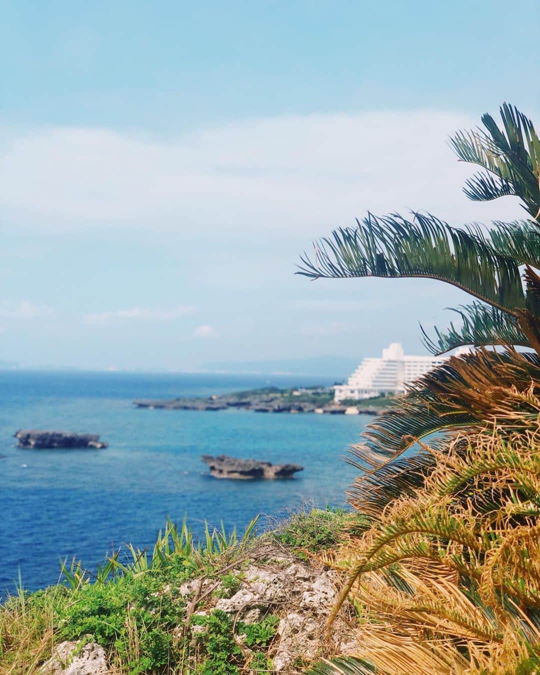 湯浅喬子のインスタグラム：「OKINAWA🌺 . 今日から沖縄に来ました♡ 明日は朝から楽しみにしていたヨガ🧘‍♀️ . コーデはswipeしてください♡ . #op  @verofonna  #bag @zara  #沖縄#code#万座毛#okinawa #沖縄ビューティーキャンプ  #naturalbeautycamp #kireimo#キレイモ」